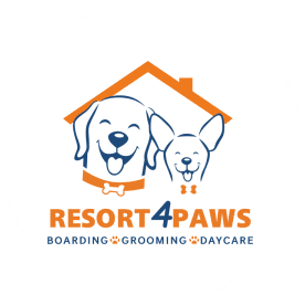r4paws logo