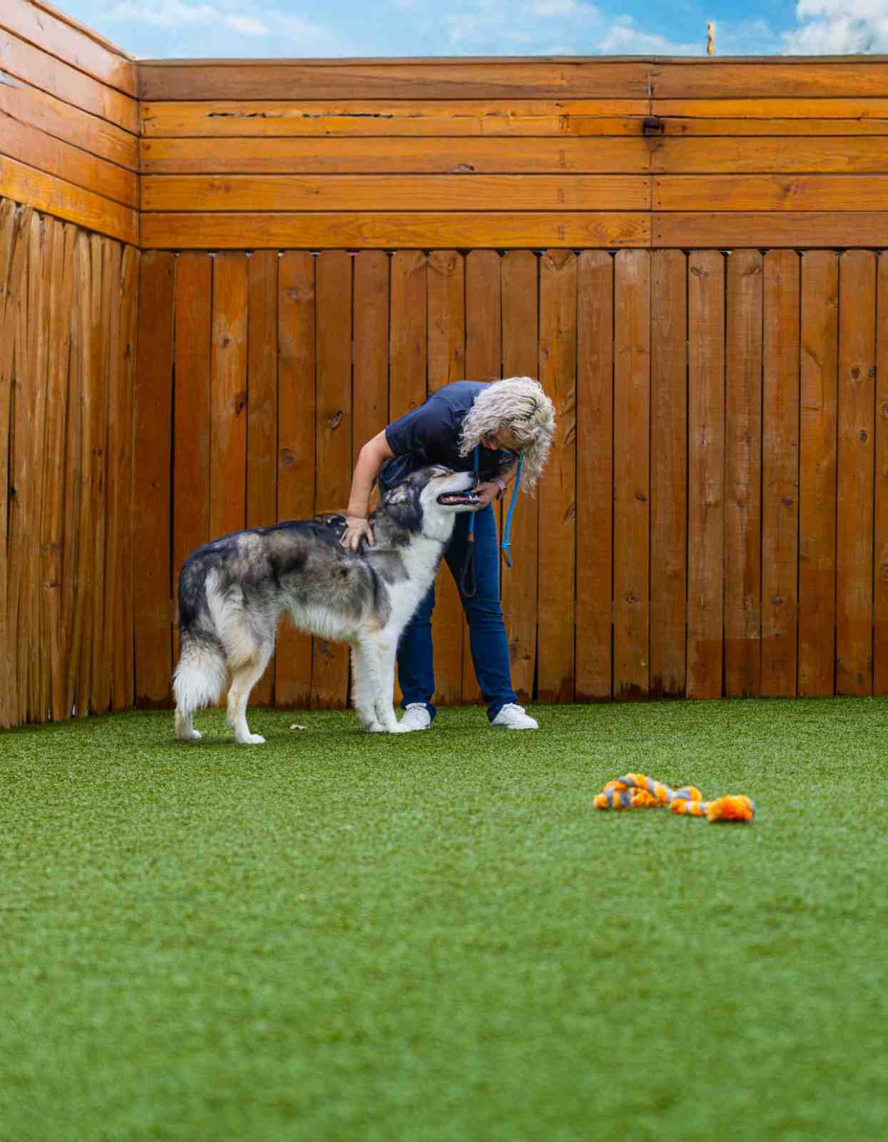 dog play area