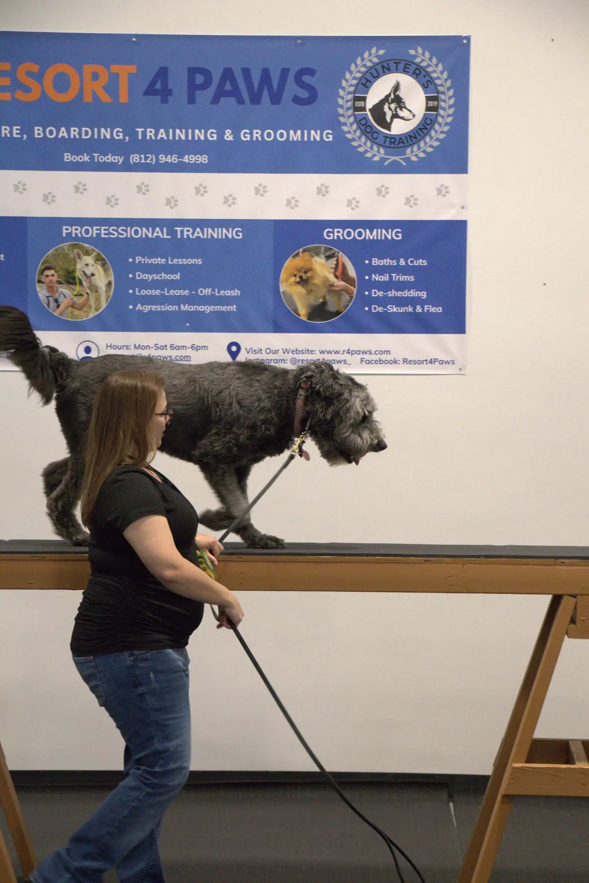 Dog daycare play at Resort 4 Paws near Louisville