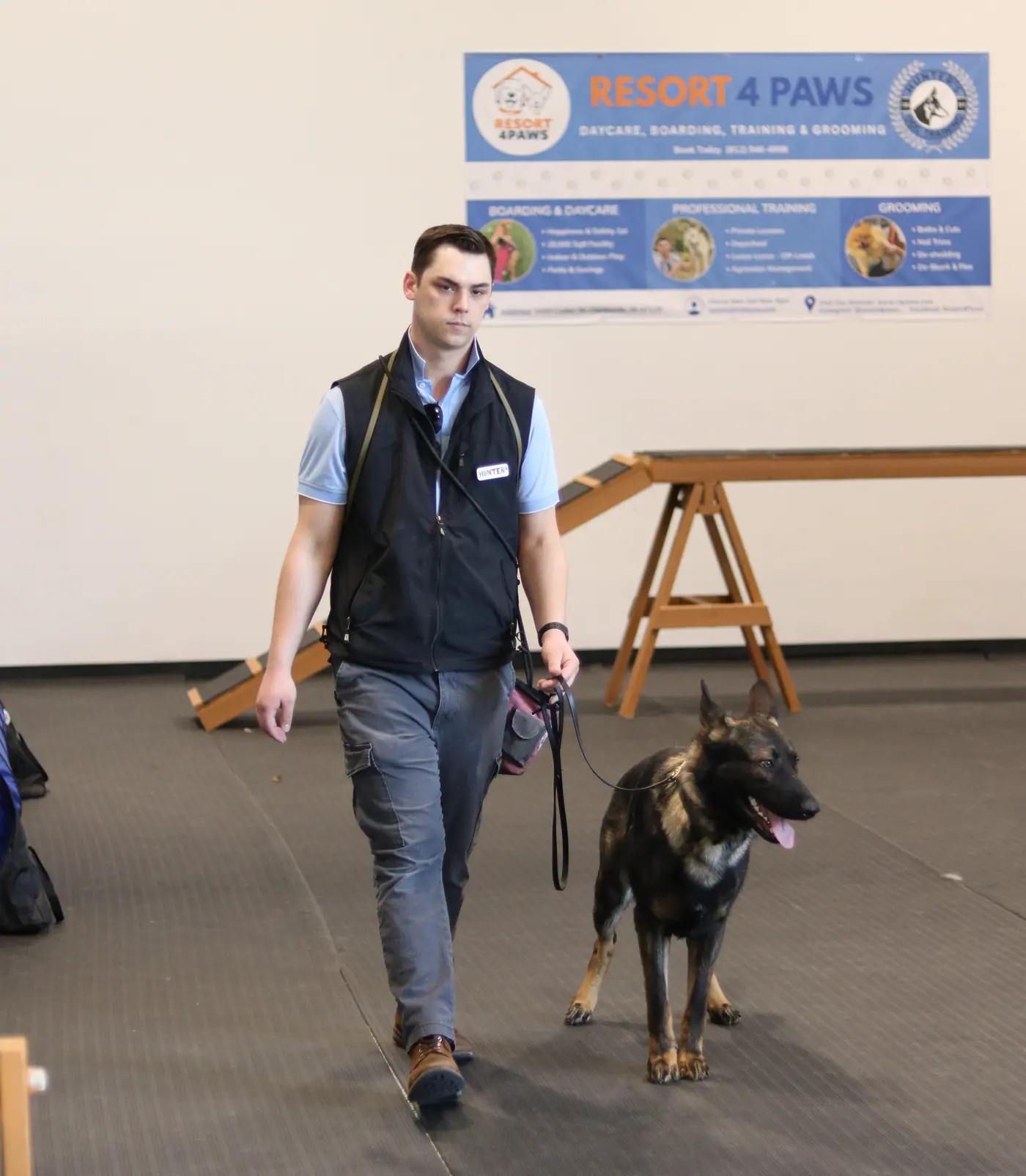 puppy training