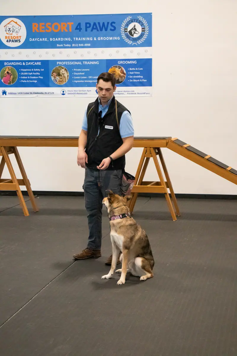 Hunter Twist working with a dog during a training session