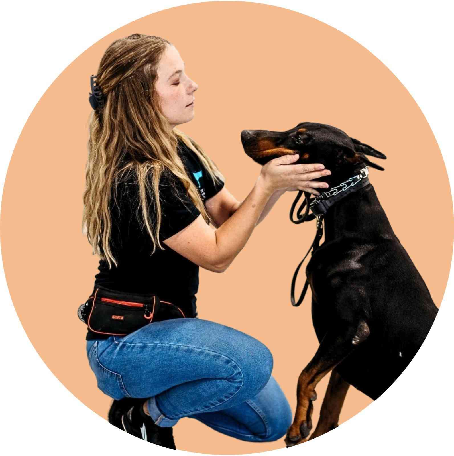 dog training