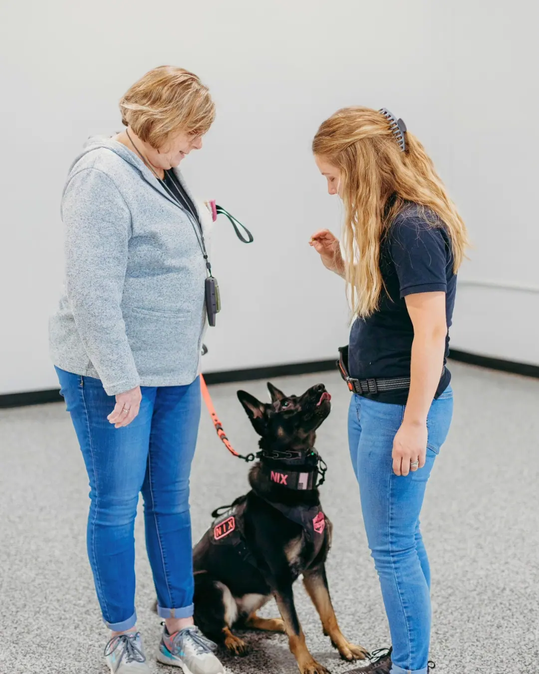dog with trainers